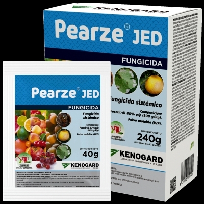 PEARZE CAJA 240GRS ( 6X40G) JED